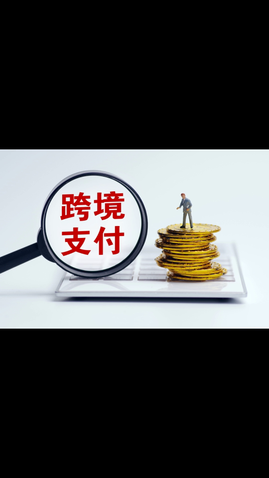 江蘇國(guó)泰：公司及下屬子公司目前均未持有跨境支付相關(guān)牌照